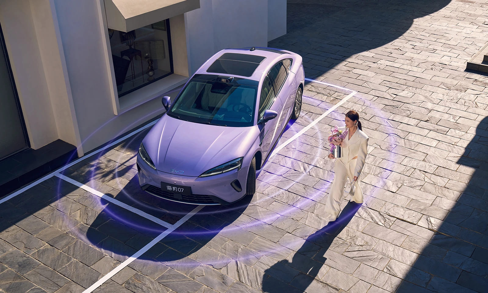 Auto Park Ассистент